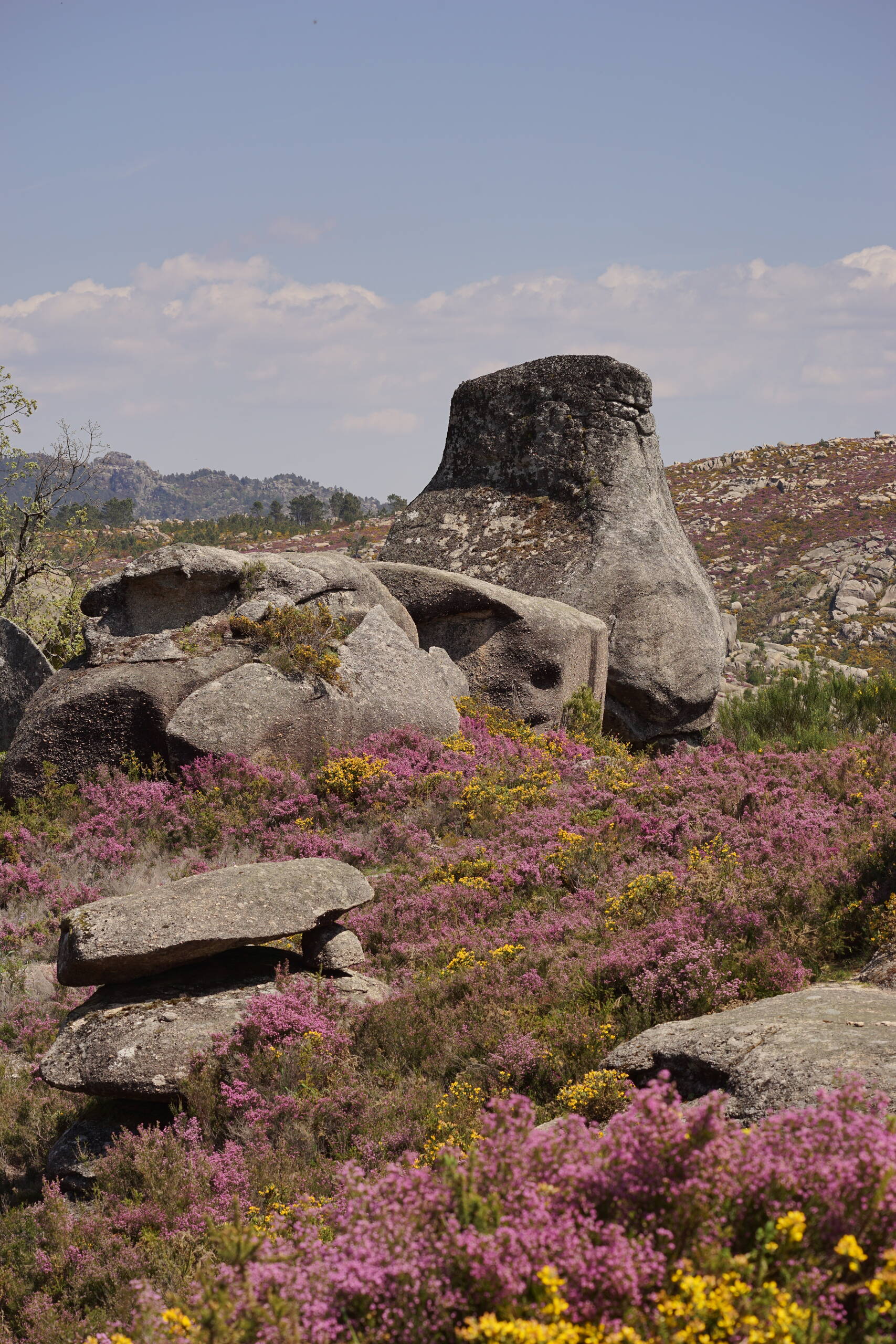 An image of weird rock.